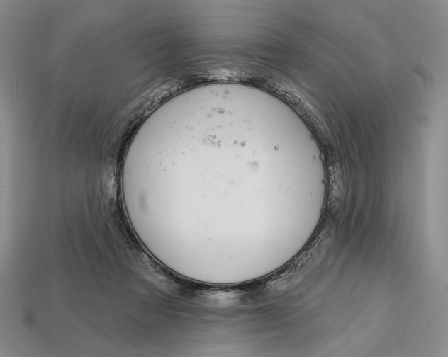 X0000112720313200909101452