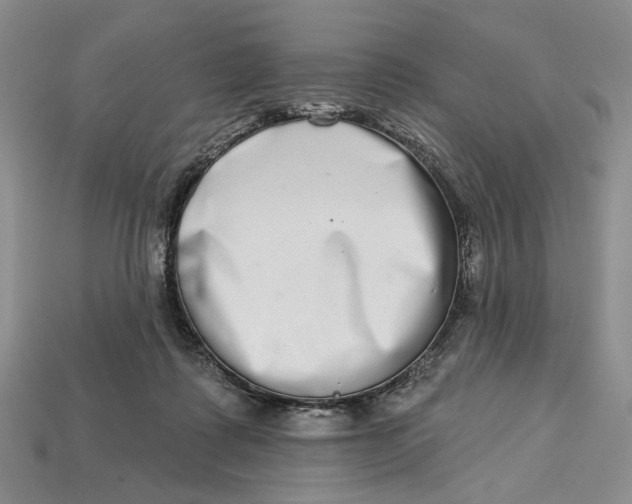 X0000112720315200909101452