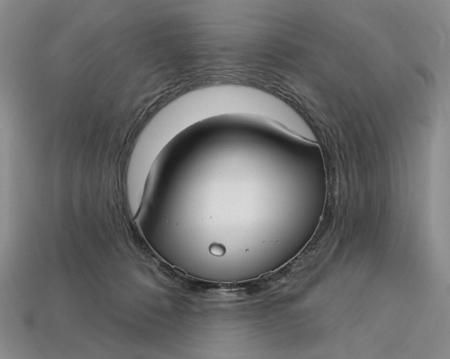 X0000112720320200909101452