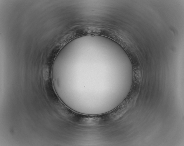 X0000112720323200909101452