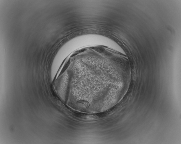 X0000112720324200909101452