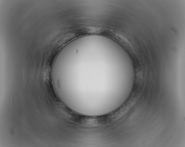 X0000112720325200909101452