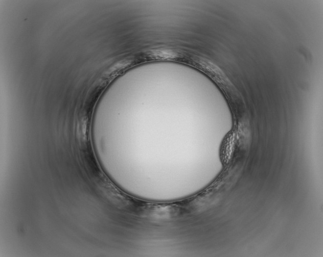 X0000112720330200909101452