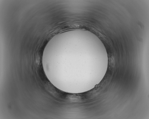 X0000112720331200909101452