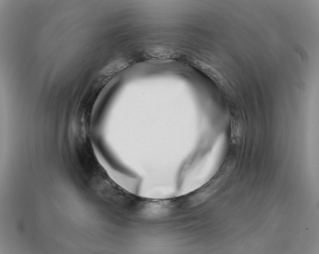 X0000112720334200909101452