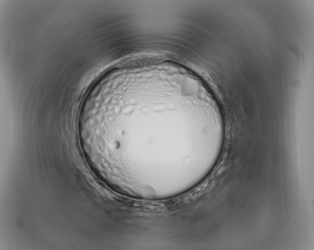 X0000112720337200909101451