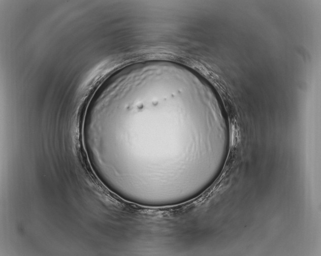 X0000112720339200909101451