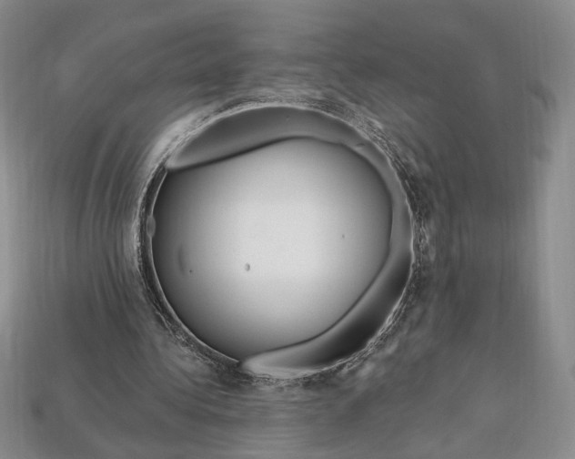 X0000112720340200909101451