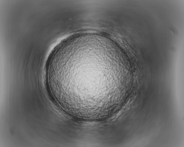 X0000112720342200909101451