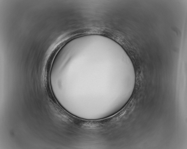 X0000112720343200909101451