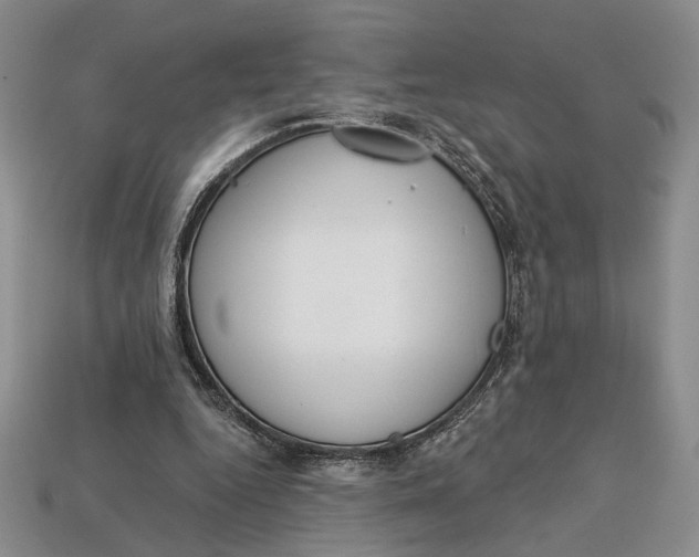 X0000112720344200909101451