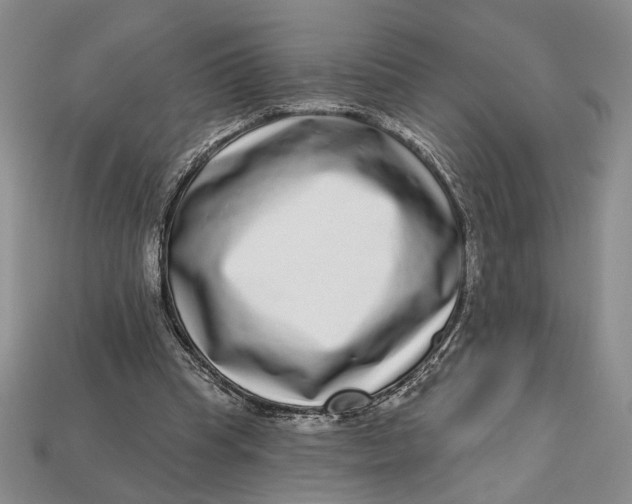 X0000112720345200909101451