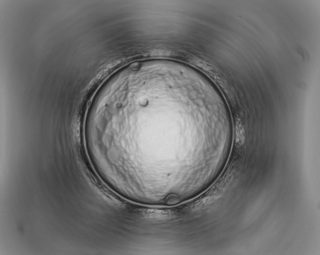 X0000112720347200909101451