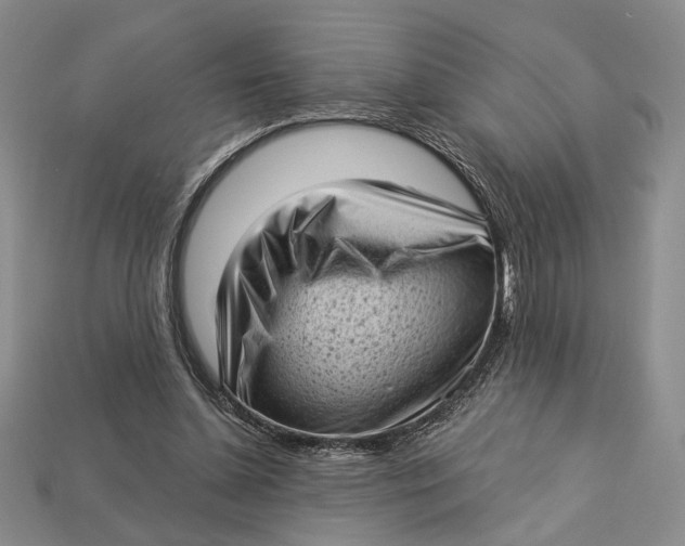 X0000112720348200909101451