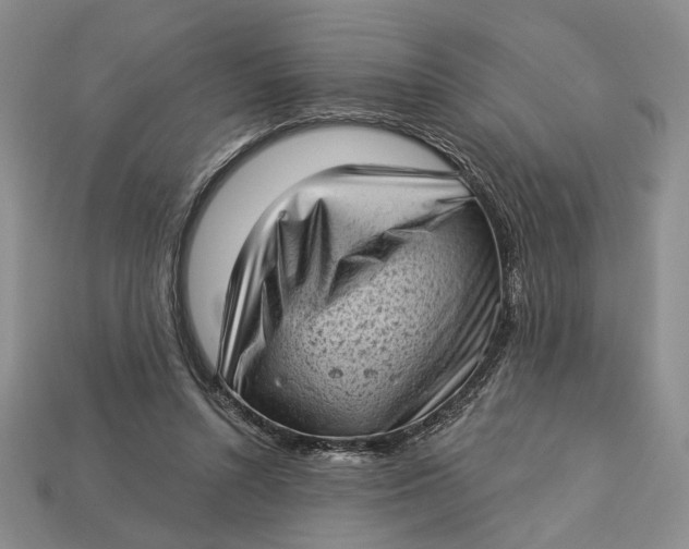 X0000112720352200909101451