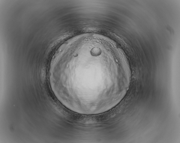 X0000112720353200909101452