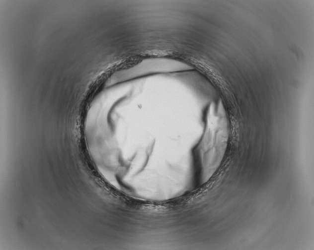 X0000112720354200909101452