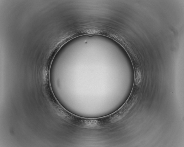 X0000112720355200909101452