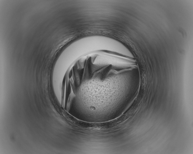 X0000112720356200909101452