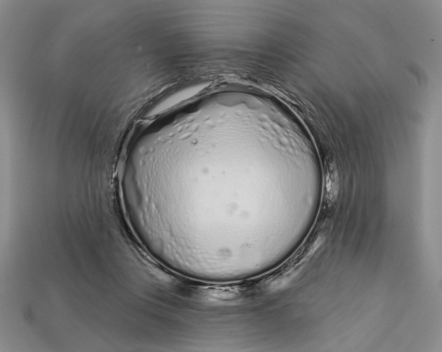 X0000112720359200909101452