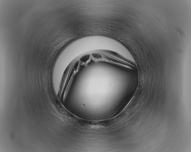 X0000112720360200909101452