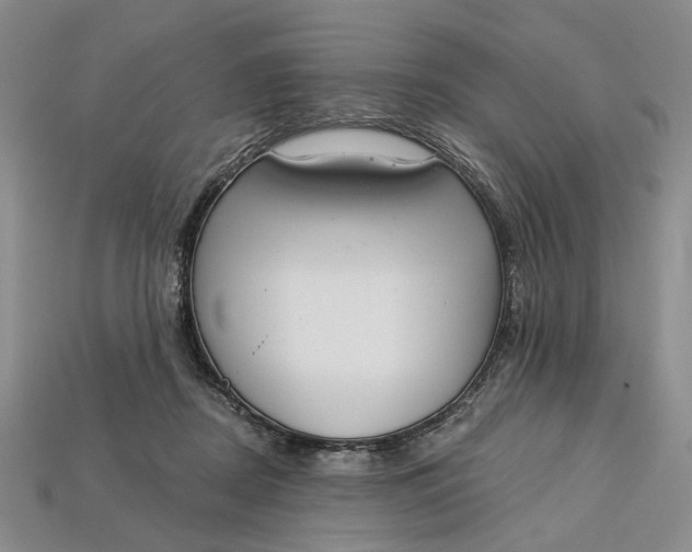 X0000112720362200909101452