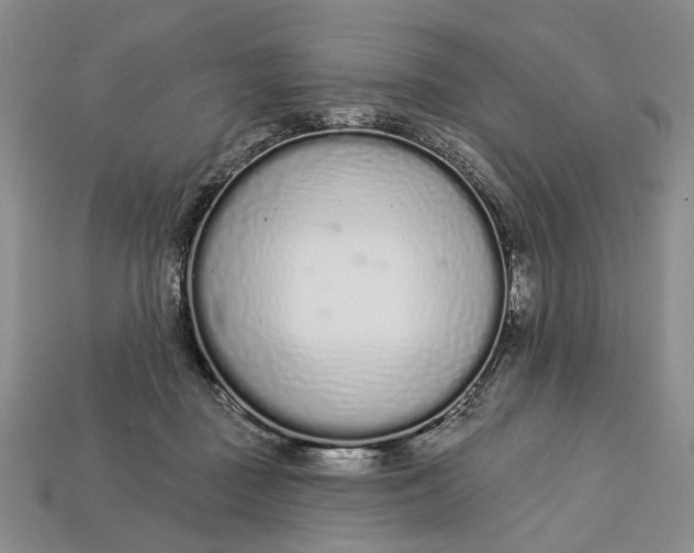 X0000112720363200909101452