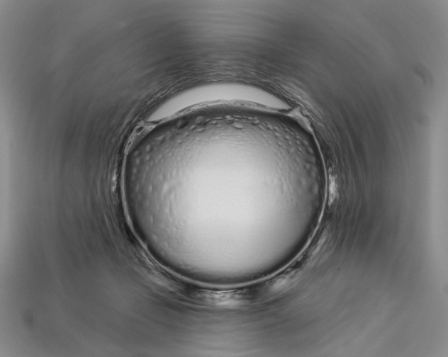 X0000112720365200909101452