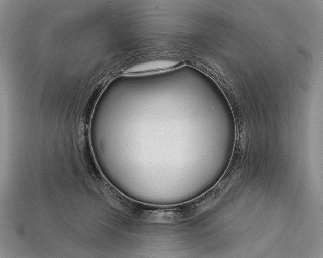 X0000112720366200909101452