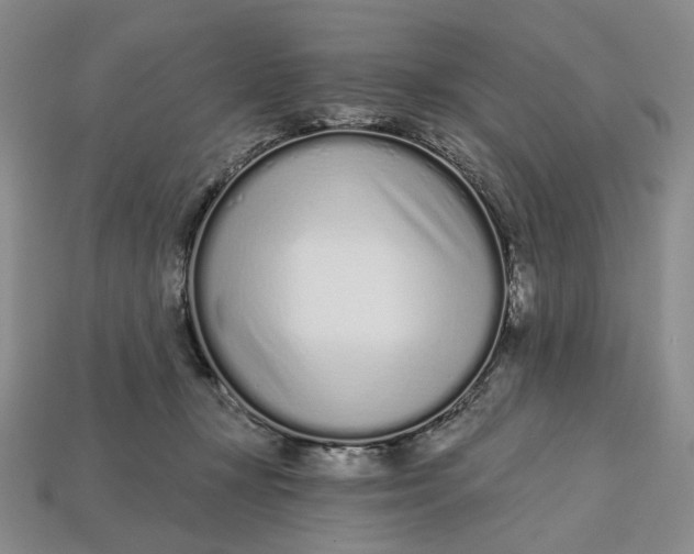 X0000112720367200909101452