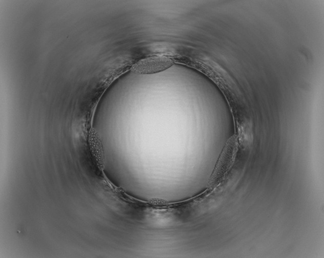 X0000112720372200909101452