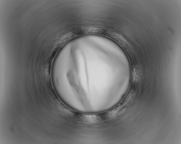 X0000112720377200909101452