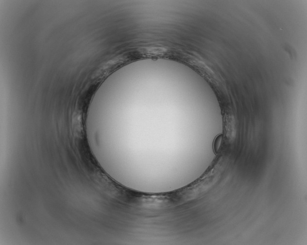 X0000112720378200909101452