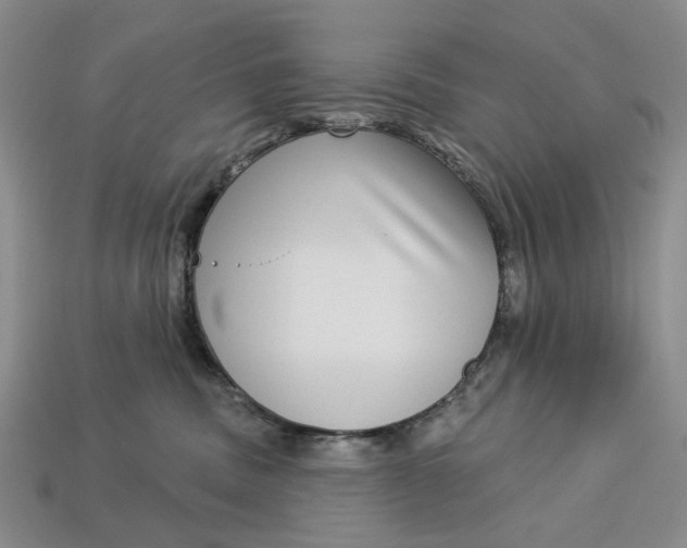 X0000112720379200909101452