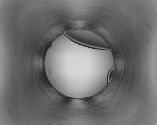 X0000112720380200909101452