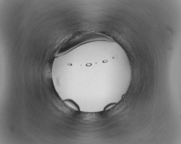 X0000112720384200909101452