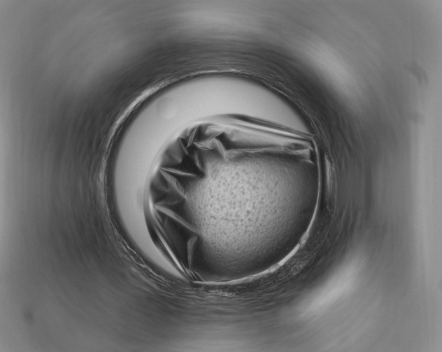 X0000112720387200909101451