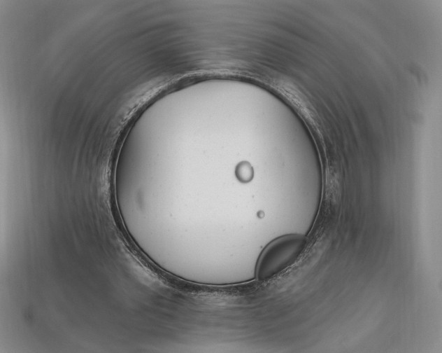 X0000112720389200909101451