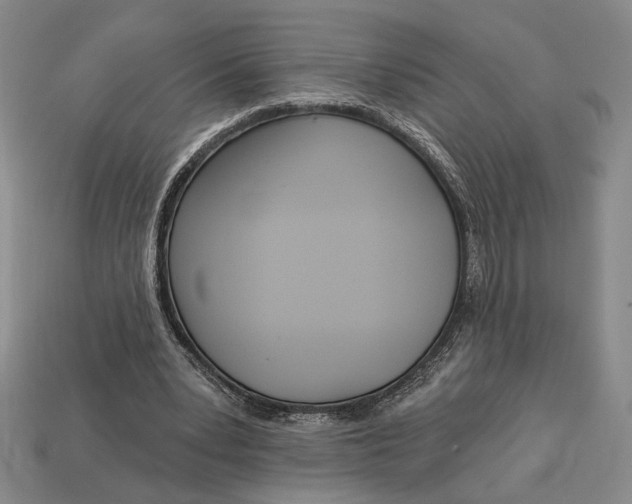 X0000112720391200909101451