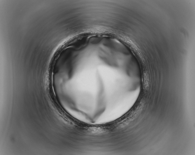 X0000112720392200909101451