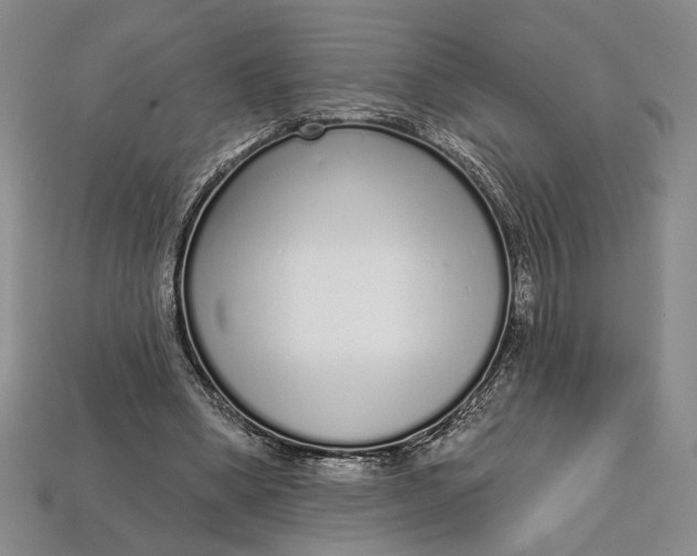 X0000112720394200909101451