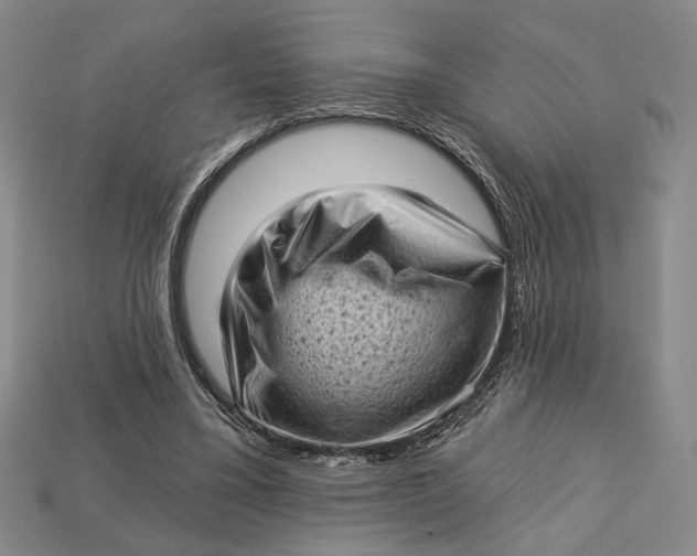 X0000112720395200909101451