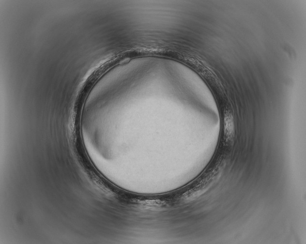 X0000112720396200909101451