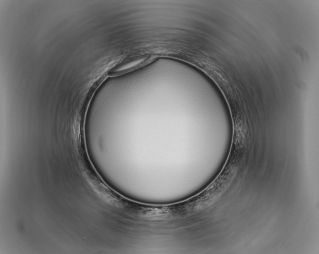 X0000112720398200909101451