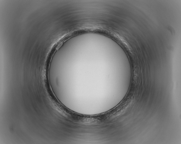 X0000112720399200909101451