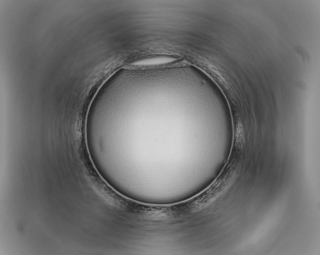 X0000112720402200909101451