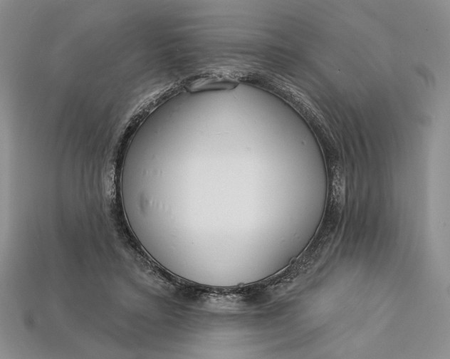 X0000112720403200909101451