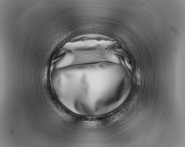 X0000112720404200909101451