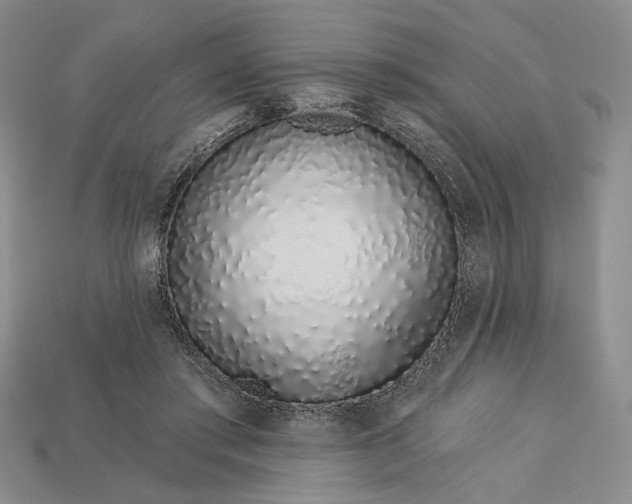 X0000112720405200909101451