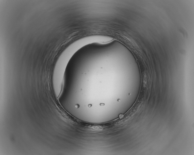 X0000112720409200909101451